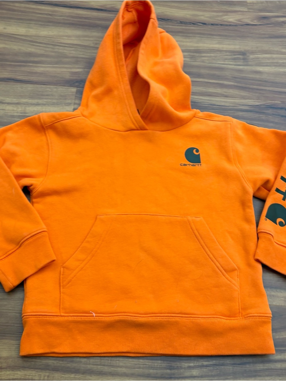 Carhartt Baby Toddler Boy Lot Size 3-6 month 4T Hoodie - Picture 10 of 13